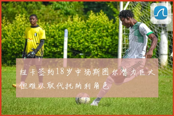 纽卡签约18岁中场斯图尔潜力巨大但难以取代托纳利角色