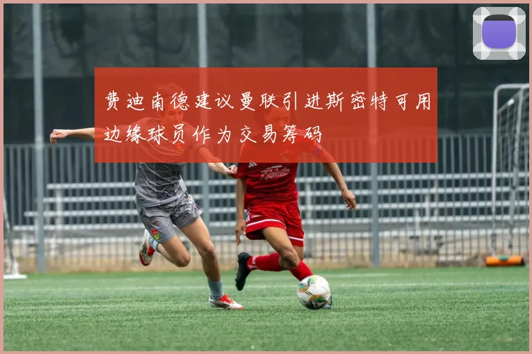 费迪南德建议曼联引进斯密特可用边缘球员作为交易筹码
